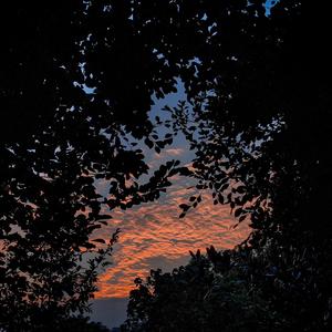 国产成人av大片
